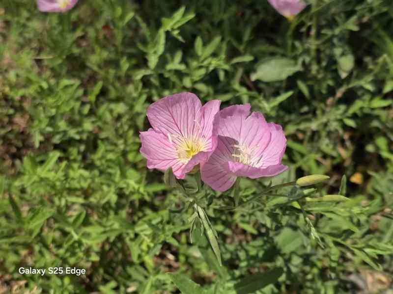 三星Galaxy S25 Edge全面评测：重新定义轻薄旗舰的标杆