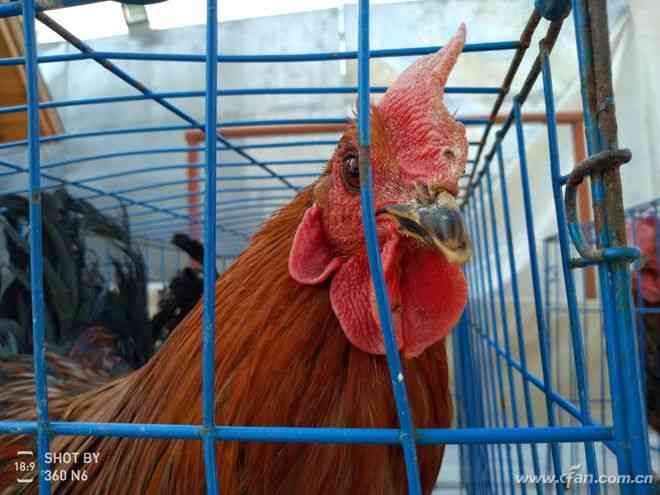 360手机N6全面评测：骁龙630处理器与5000mAh电池的续航表现