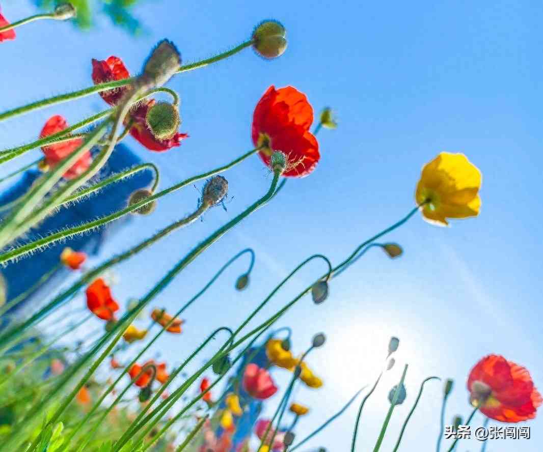 怎么样赚钱：适合普通人搞钱的7个赚钱思路（超级干货）