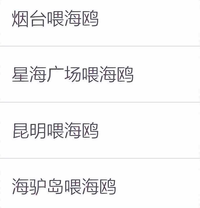 索尼w610怎么样 喂过一次大连海鸥，人类就要为自己的弱小羞愧