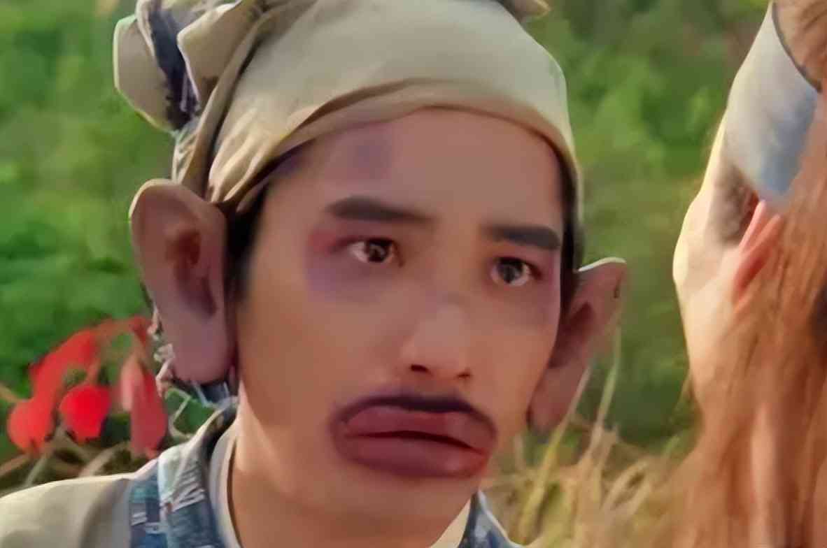 索尼w610怎么样 喂过一次大连海鸥，人类就要为自己的弱小羞愧