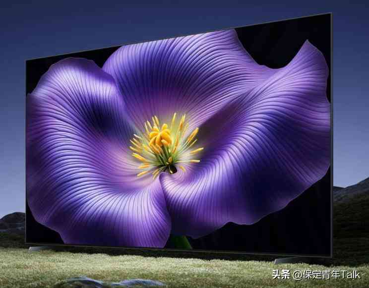 小米电视质量全面评测与国产电视品牌选购指南 小米电视质量全面评测与国产电视品牌选购指南