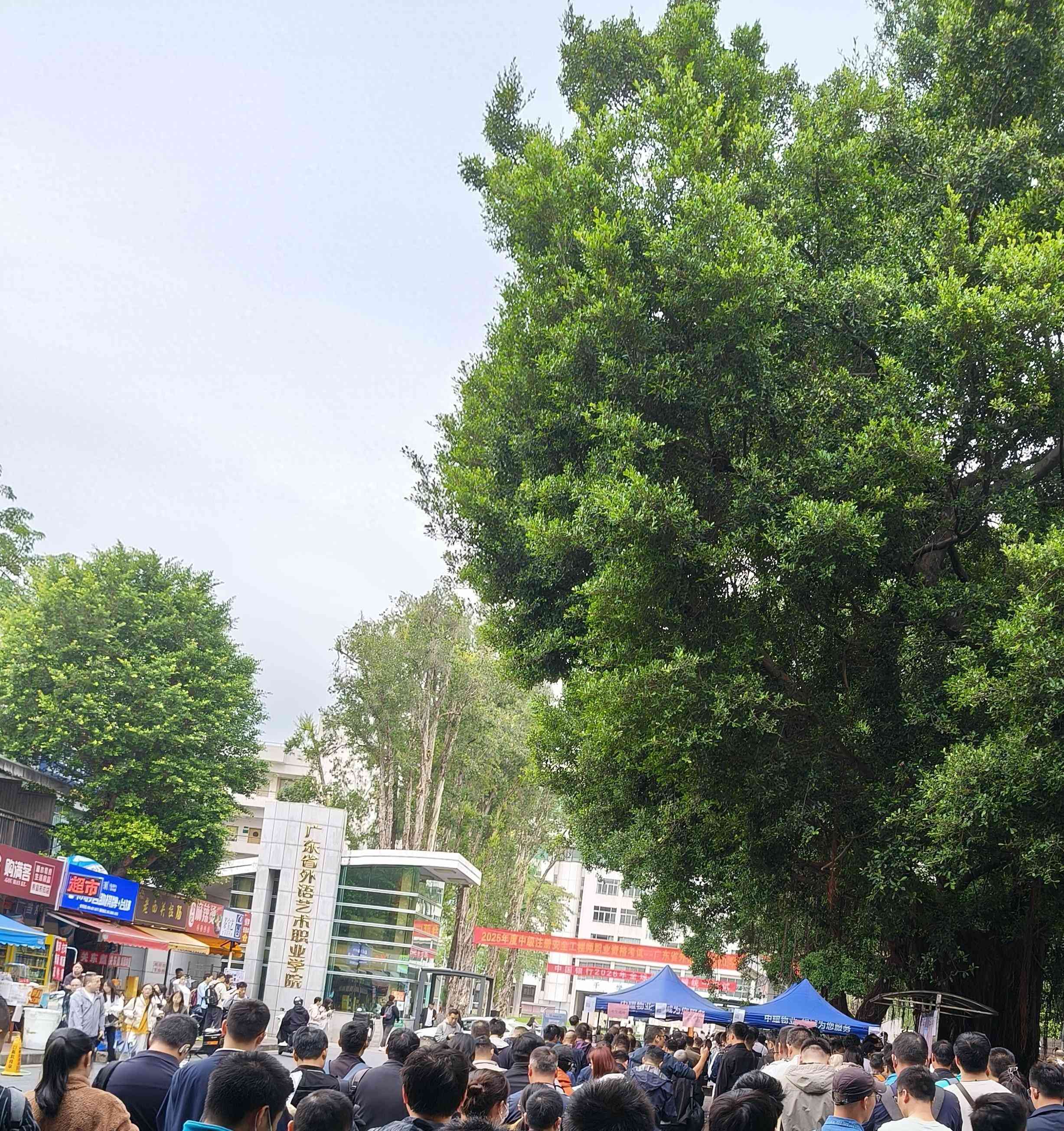 职业资格考试难度全面升级：考完注安后的深度解析