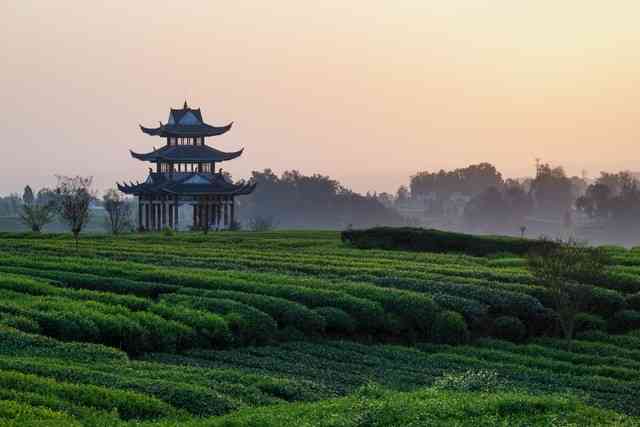 发源地怎么样 雅安上里：一座山水桥相连的千年古镇，世界黑茶发源地的真实面目