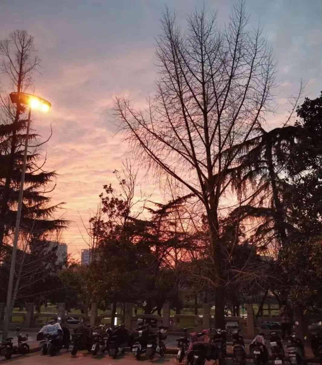 mcm怎么样 全球016%,是他们 mcm怎么样 全球016%,是他们