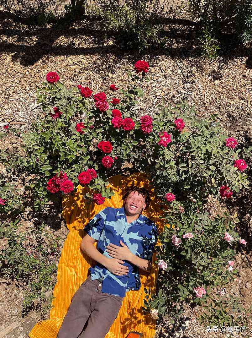 iPhone12影像系统深度评测：手机摄影师的真实体验报告