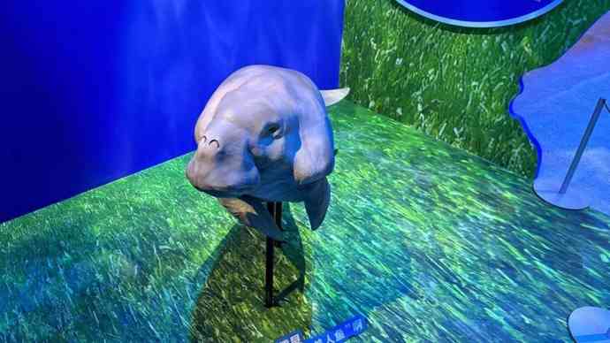 揭秘美人鱼真容：沉浸式展览开启亿年海洋探秘之旅