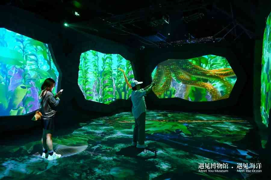 揭秘美人鱼真容：沉浸式展览开启亿年海洋探秘之旅
