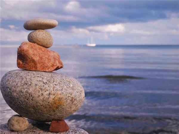 现实与生活：多维度的探索