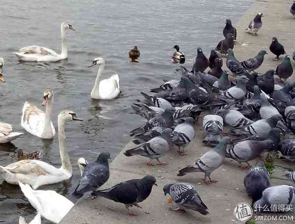 成熟的同时需要进化:OPPO R9使用评测 成熟的同时需要进化:OPPO R9使用评测